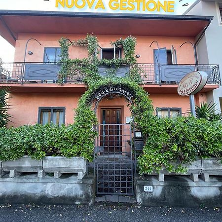 B&B La Casa Di Zia Lina Monsummano Terme Dış mekan fotoğraf